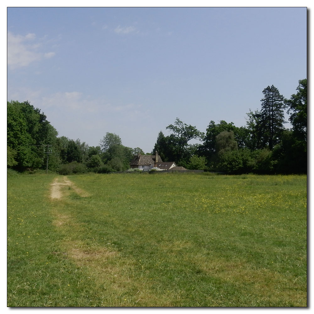 Walk up Denne Hill, Horsham, 