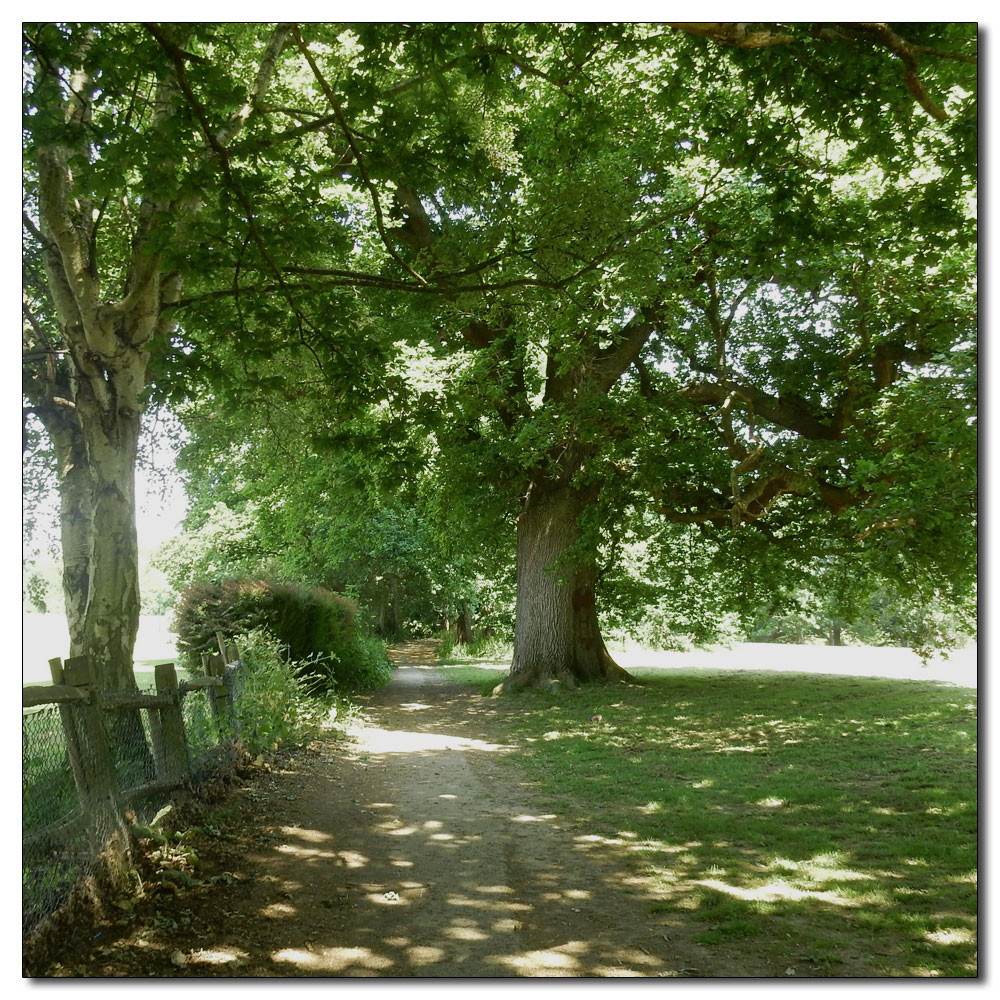 Walk up Denne Hill, Horsham, 