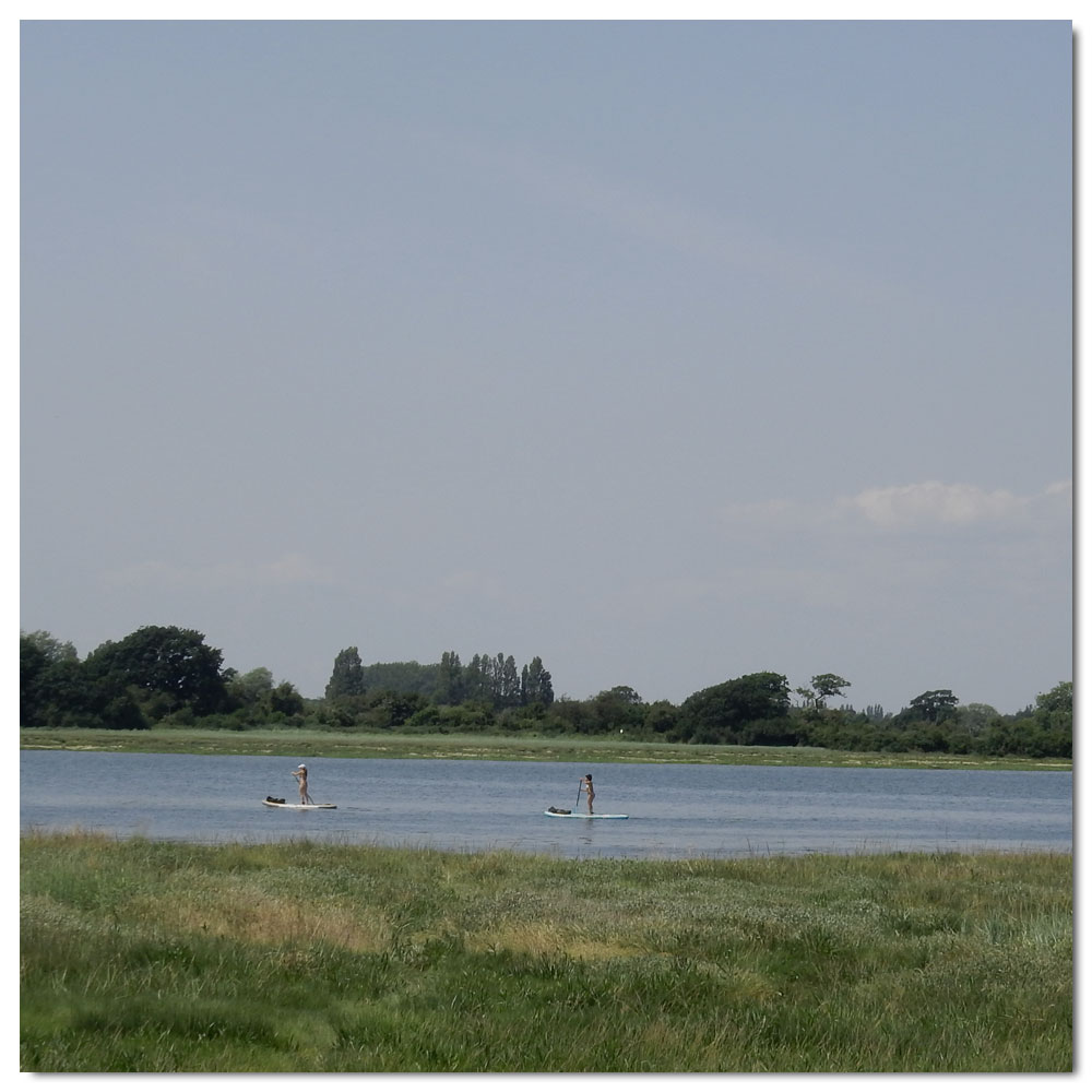 Walk to the meadow, Paddlebording on the Fishbourne Channel