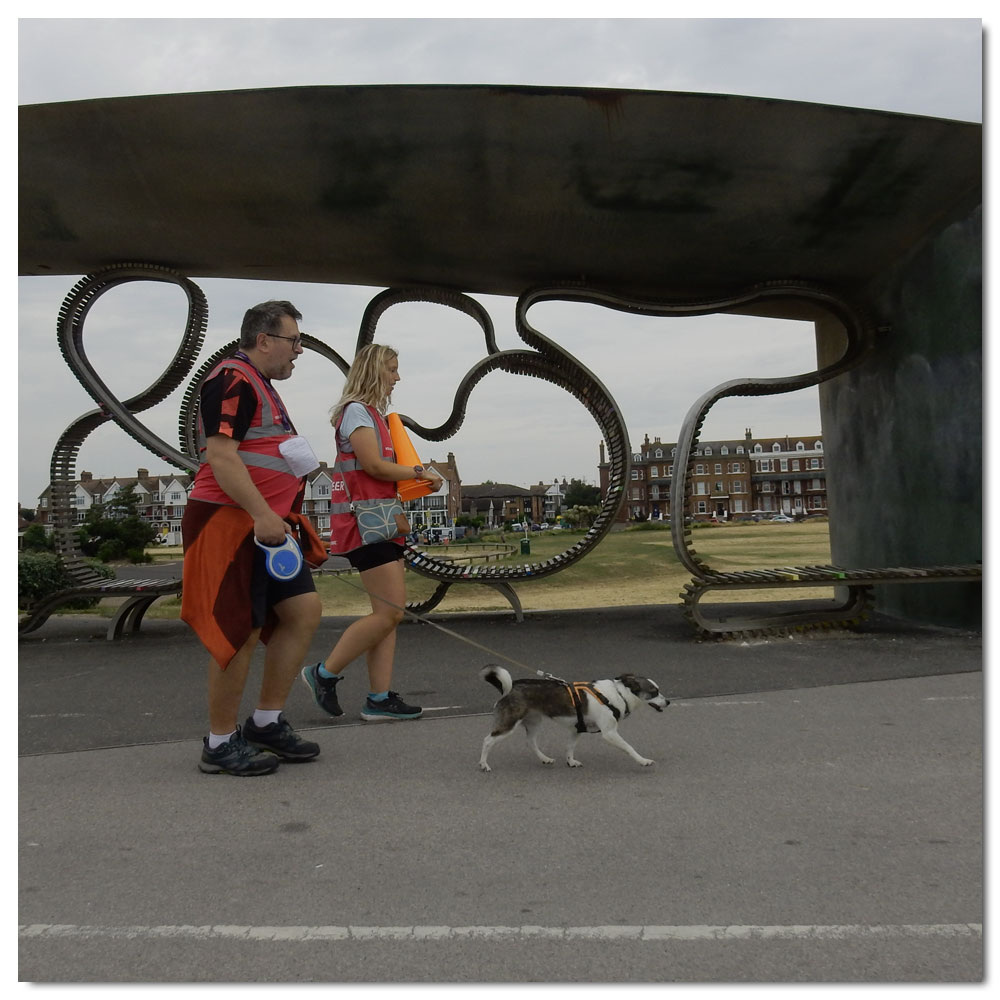 Littlehampton Parkrun, 144, 