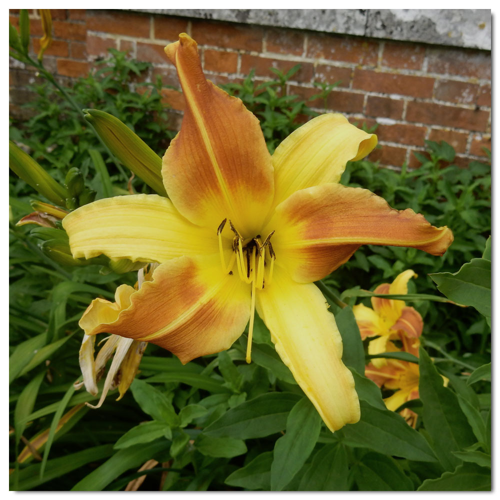 Uppark House and Garden, 