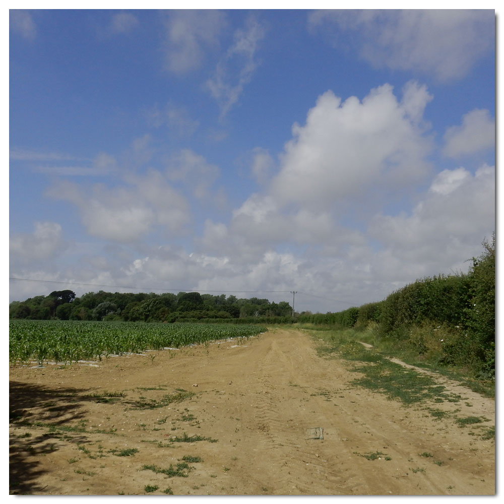 Jog along the Fishbourne Channel, 