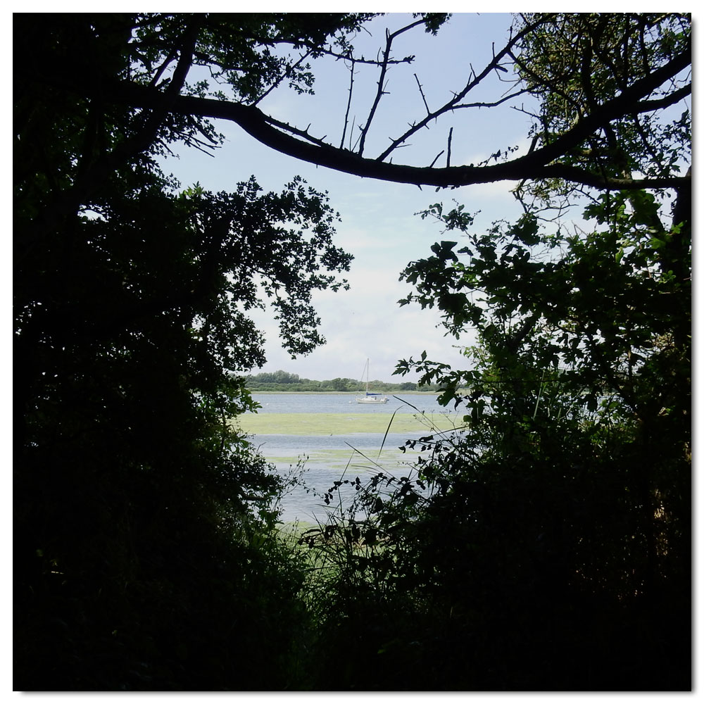 Jog along the Fishbourne Channel, 