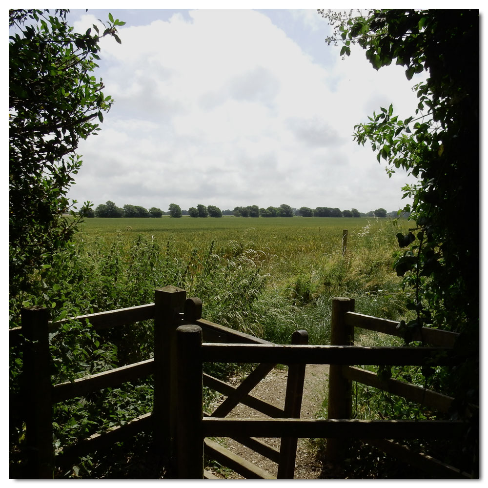 Jog along the Fishbourne Channel, 