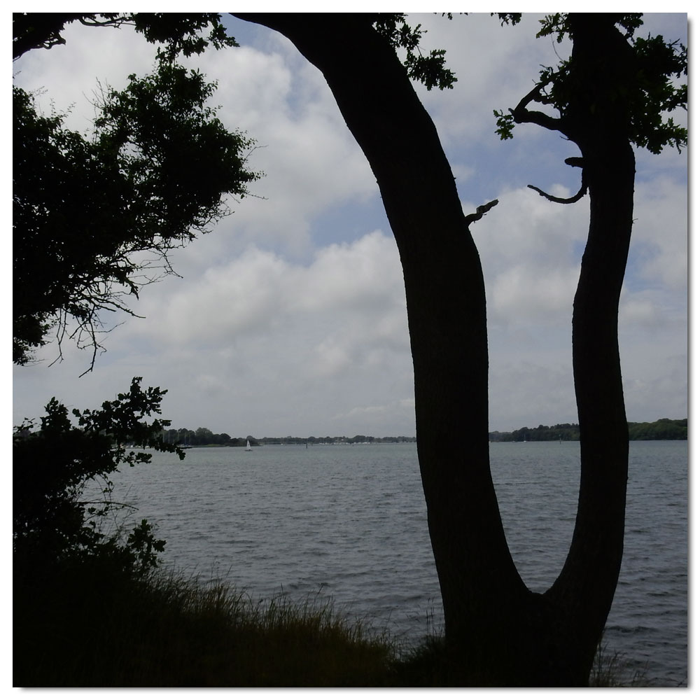 Jog along the Fishbourne Channel, 