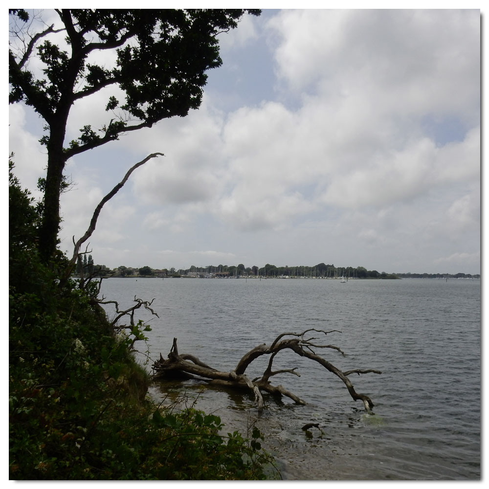 Jog along the Fishbourne Channel, 