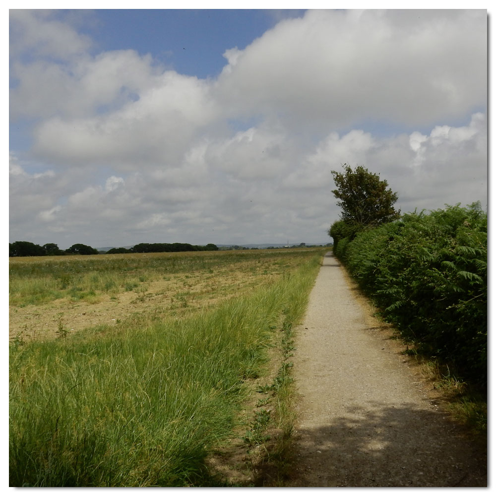 Jog along the Fishbourne Channel, Exit Salterns Corpse