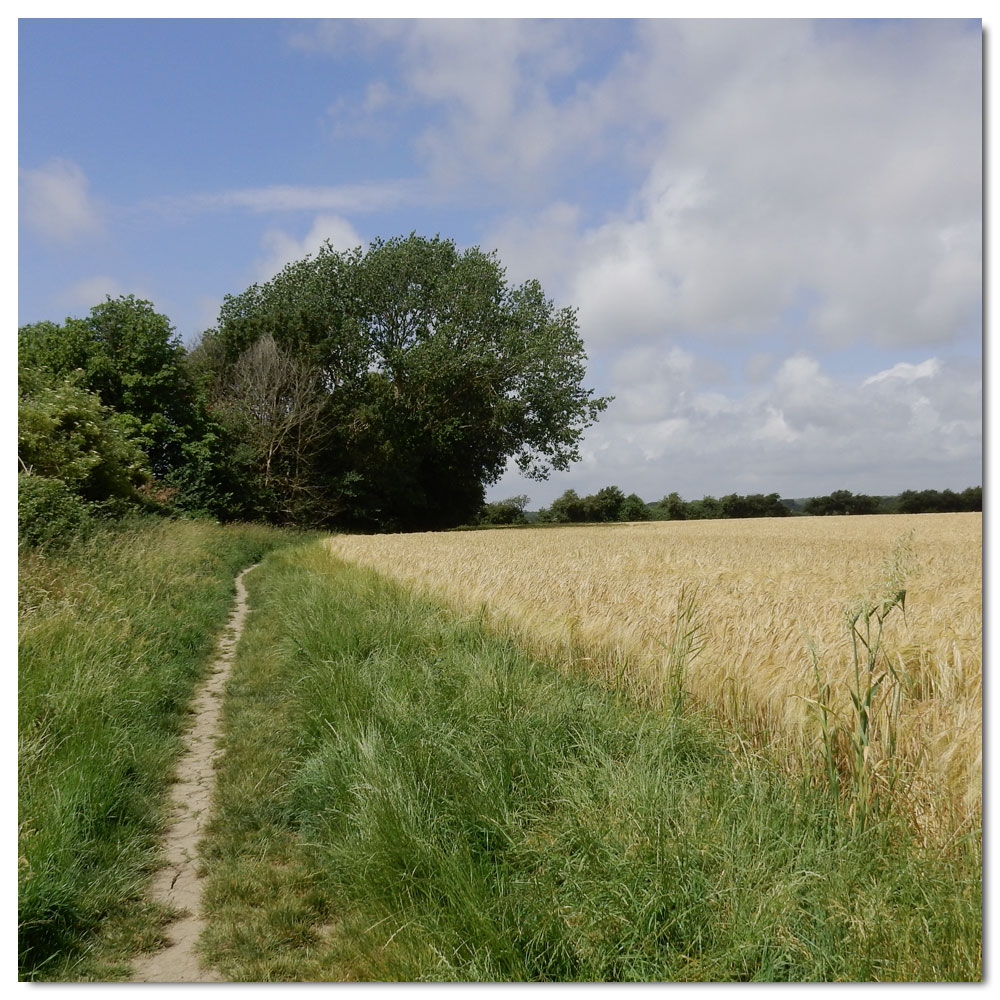 Jog along the Fishbourne Channel, 