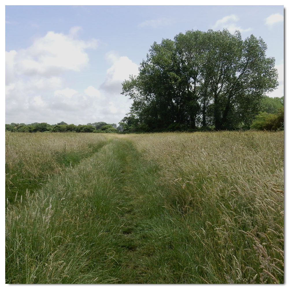 Jog along the Fishbourne Channel, 