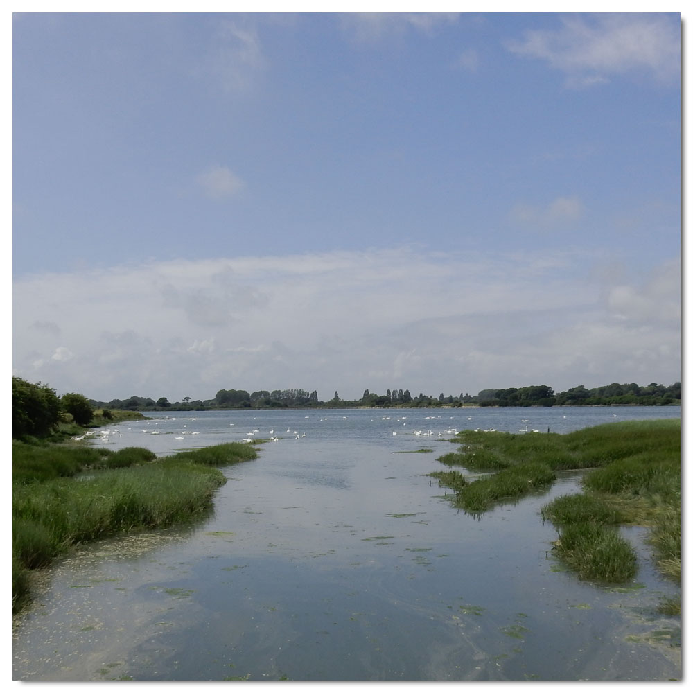 Jog along the Fishbourne Channel, 