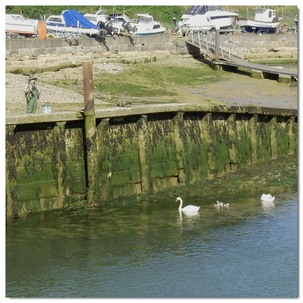 Littlehampton Parkrun, 145, 