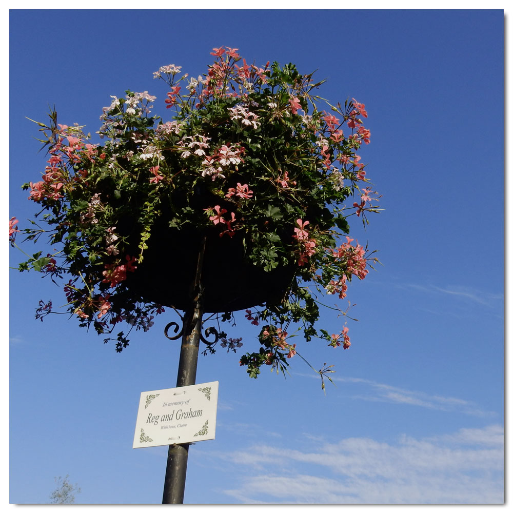 Morning walk in Tewkesbury, 