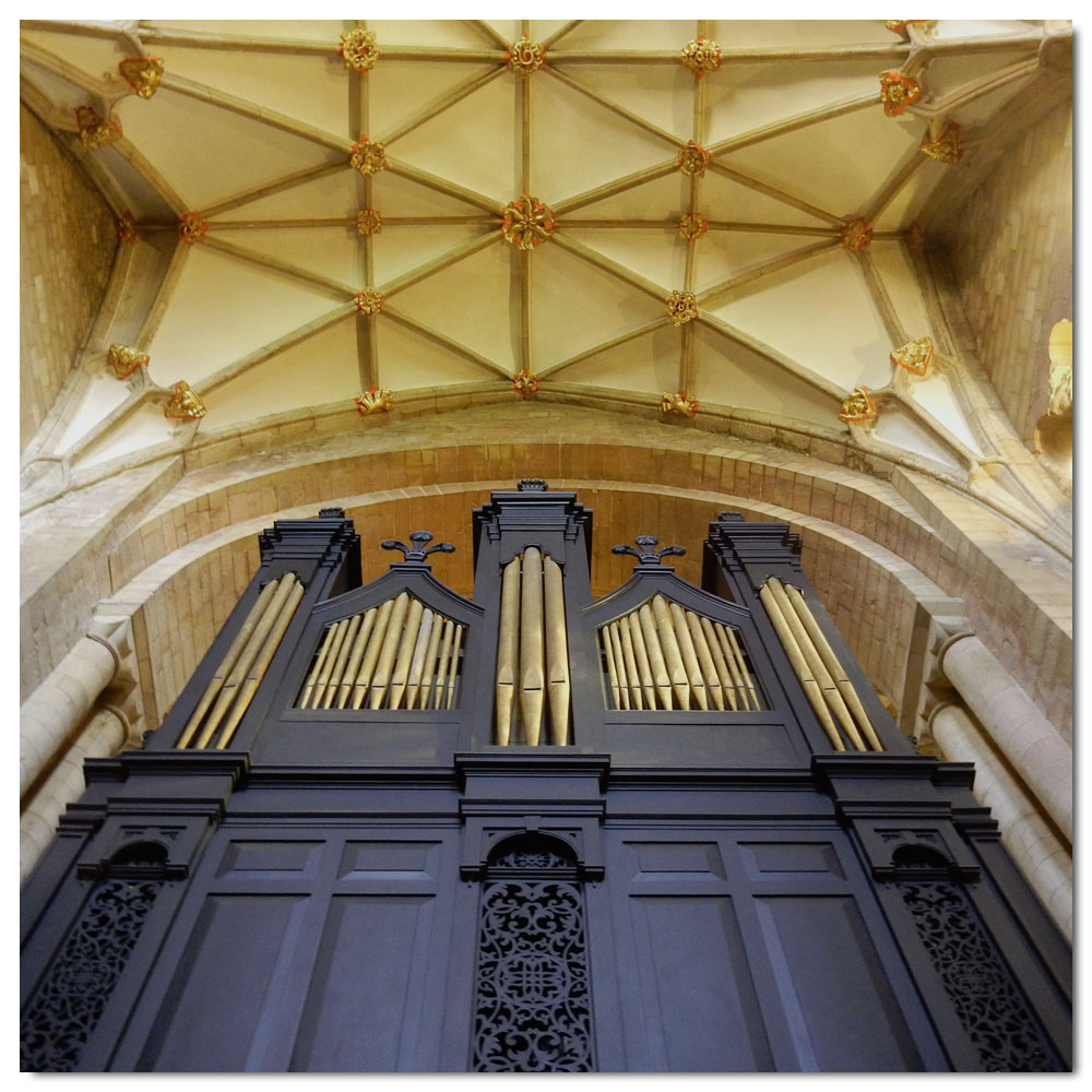 Morning walk in Tewkesbury, 