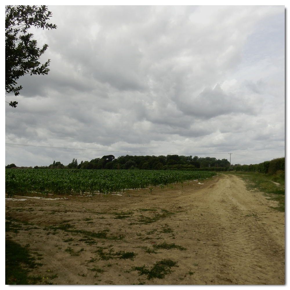 Jog to Salterns Corpse, 