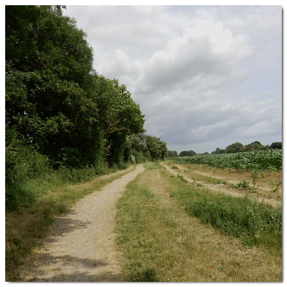 Jog to Salterns Corpse, 