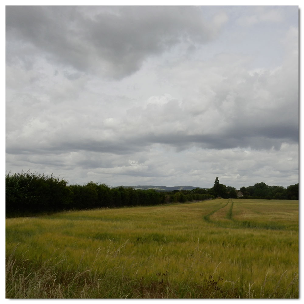 Jog to Salterns Corpse, 