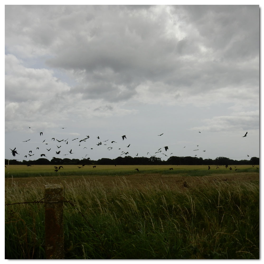 Jog to Salterns Corpse, 