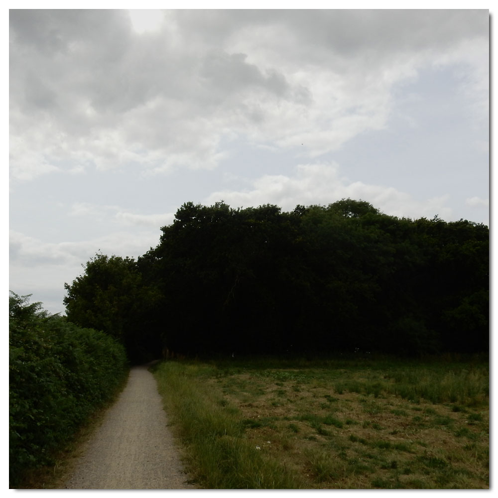 Jog to Salterns Corpse, 