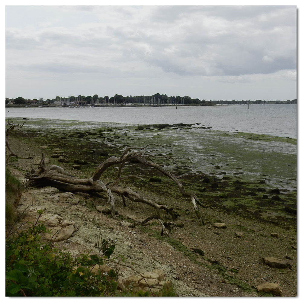 Jog to Salterns Corpse, 