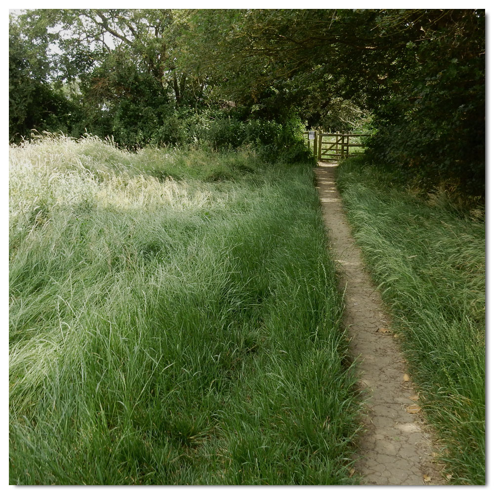 Jog to Salterns Corpse, 