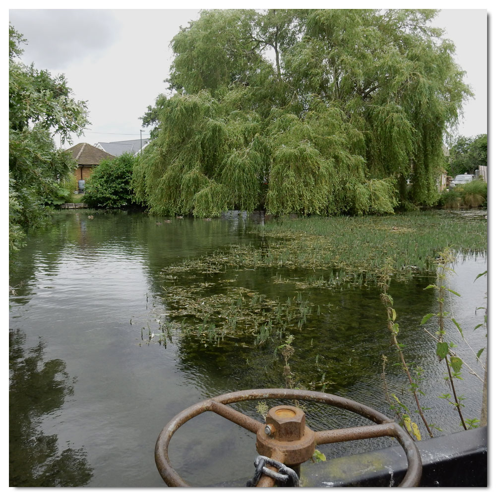 The Bridges of Fishbourne, 