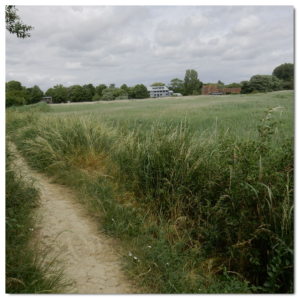 The Bridges of Fishbourne, 