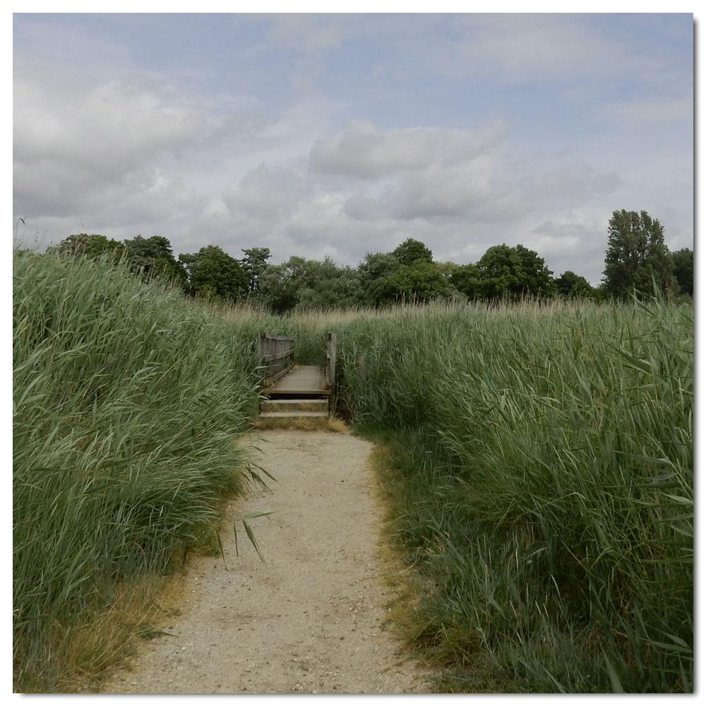 The Bridges of Fishbourne, 