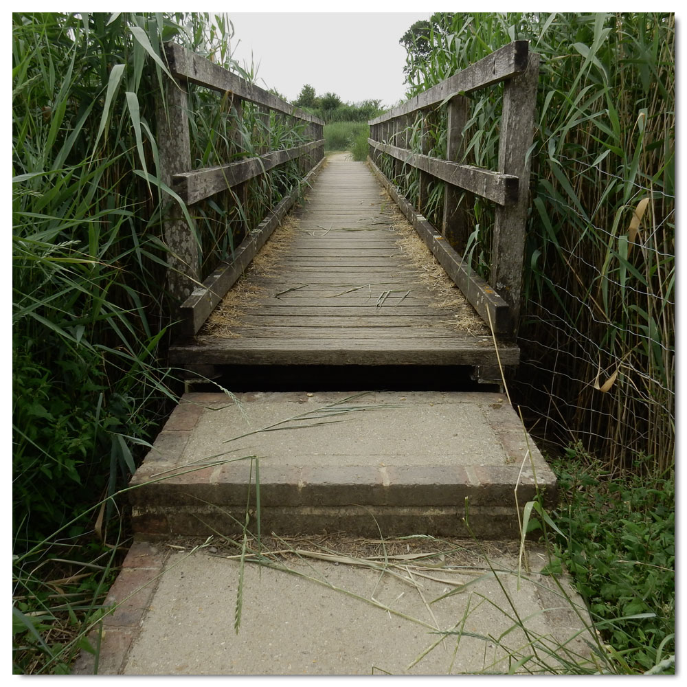 The Bridges of Fishbourne, 