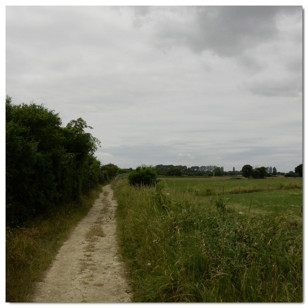 The Bridges of Fishbourne, 