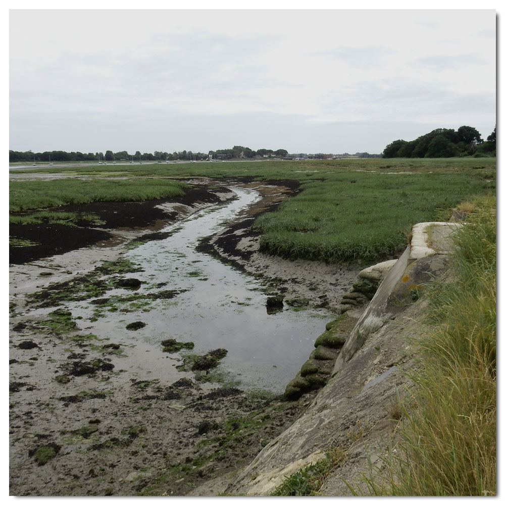 The Bridges of Fishbourne, 