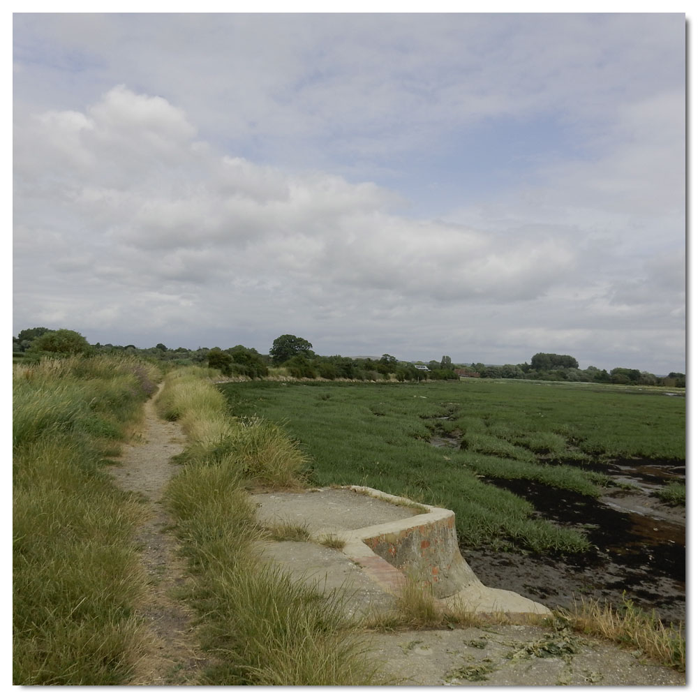 The Bridges of Fishbourne, 