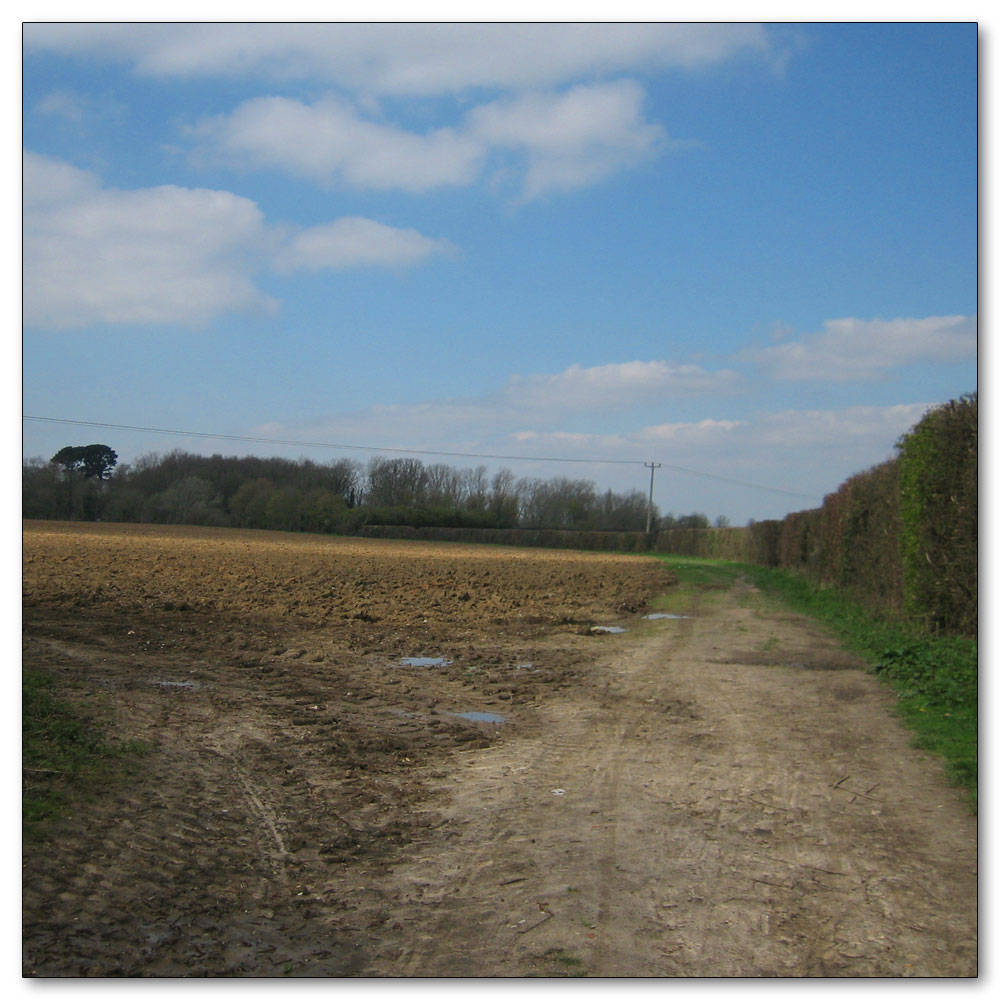 Manor Farm, Fields drying out