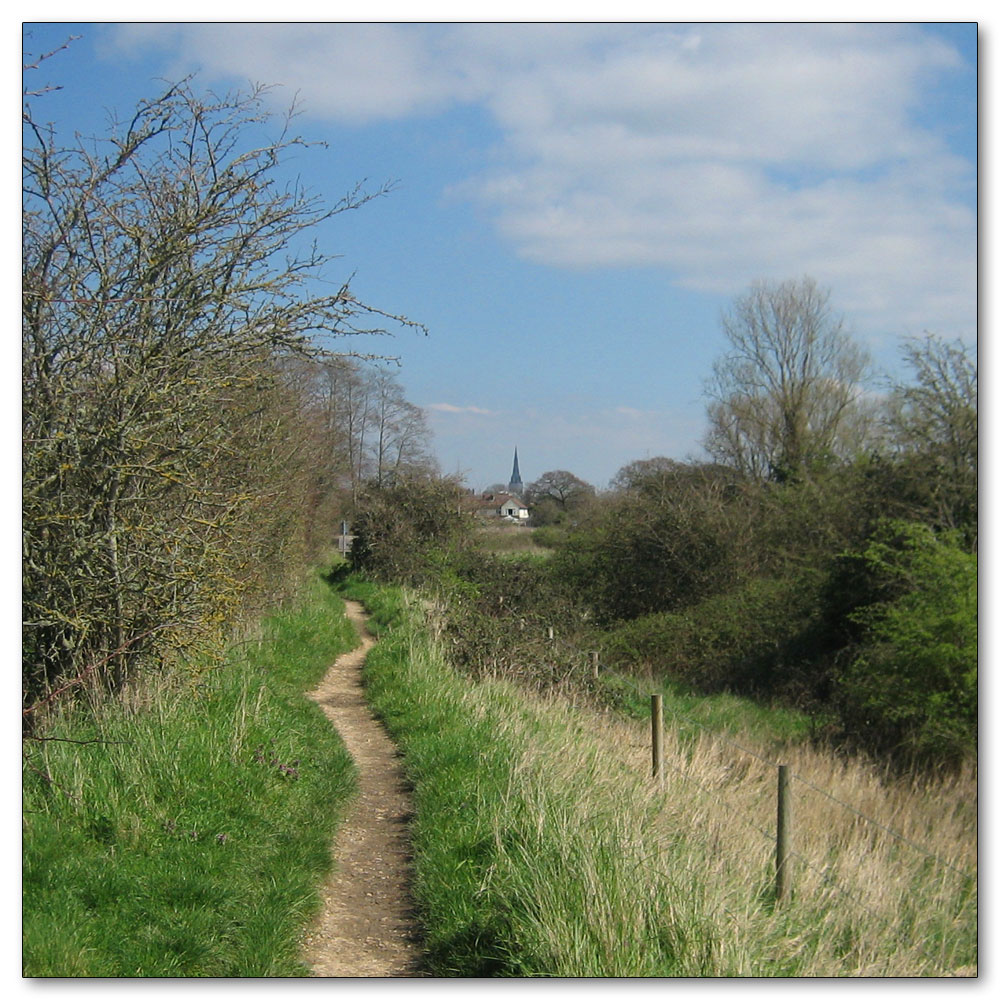 Manor Farm, Chichester Cathedral in the distance