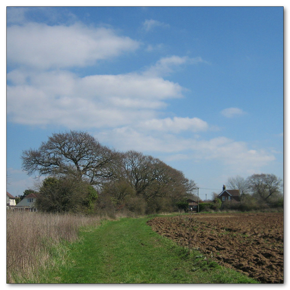 Manor Farm, 