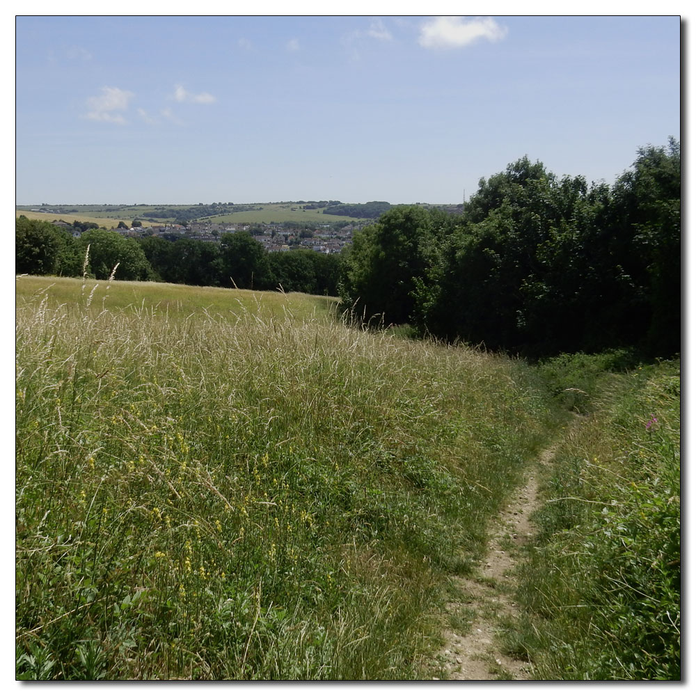 Moulsecoomb Wild Park, 