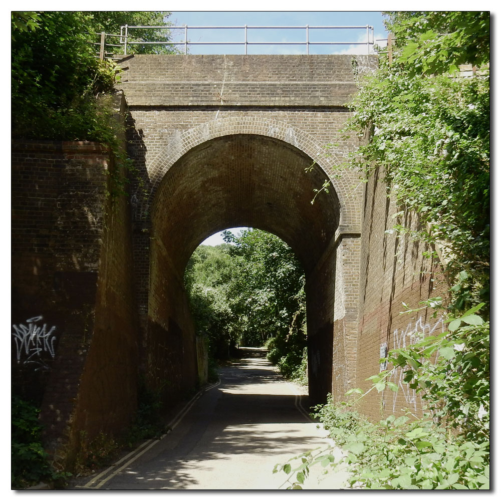 Moulsecoomb Wild Park, 