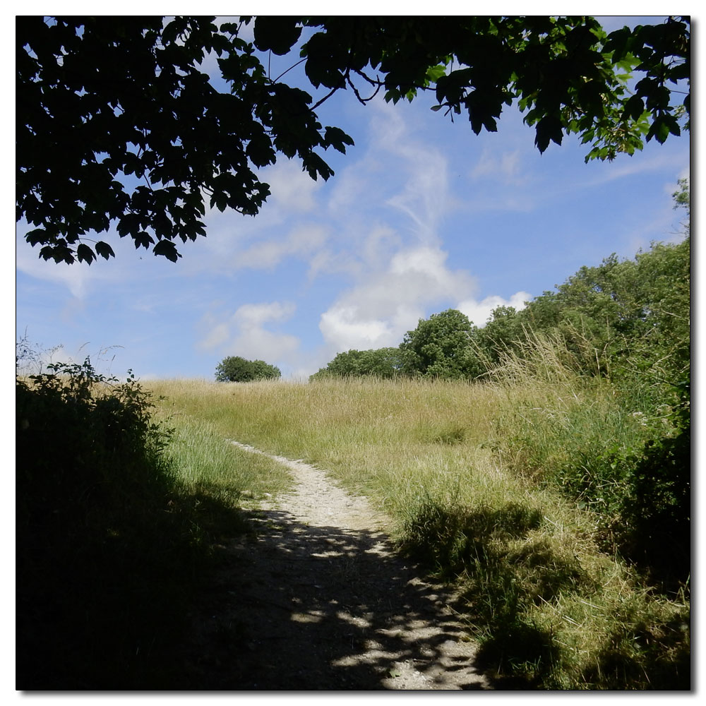 Moulsecoomb Wild Park, 