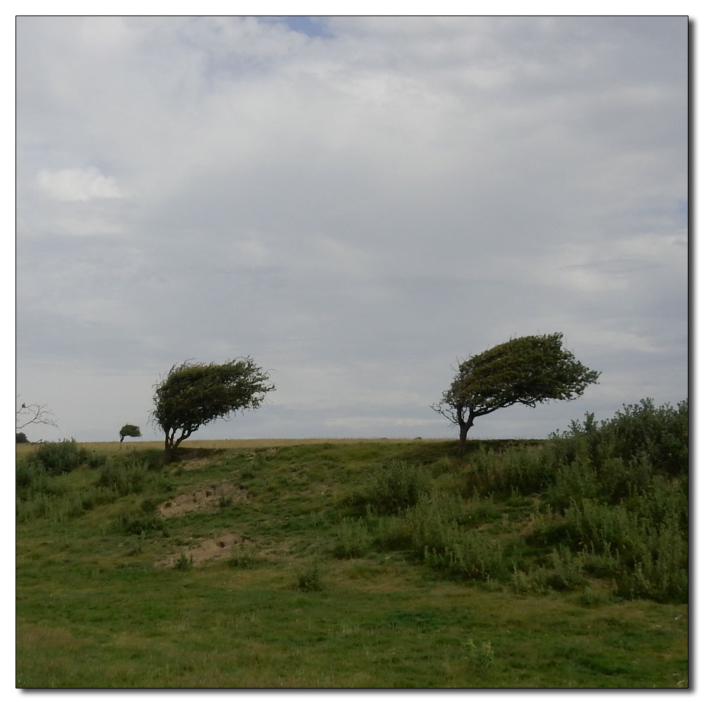 Seaford Head to Alfriston, 