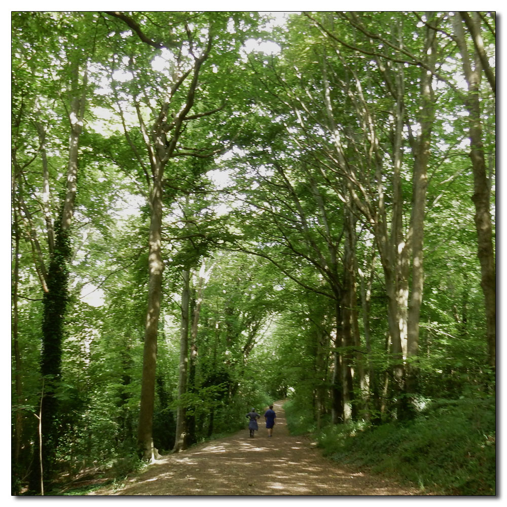 Seaford Head to Alfriston, 