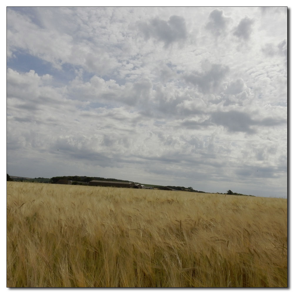 Seaford Head to Alfriston, 