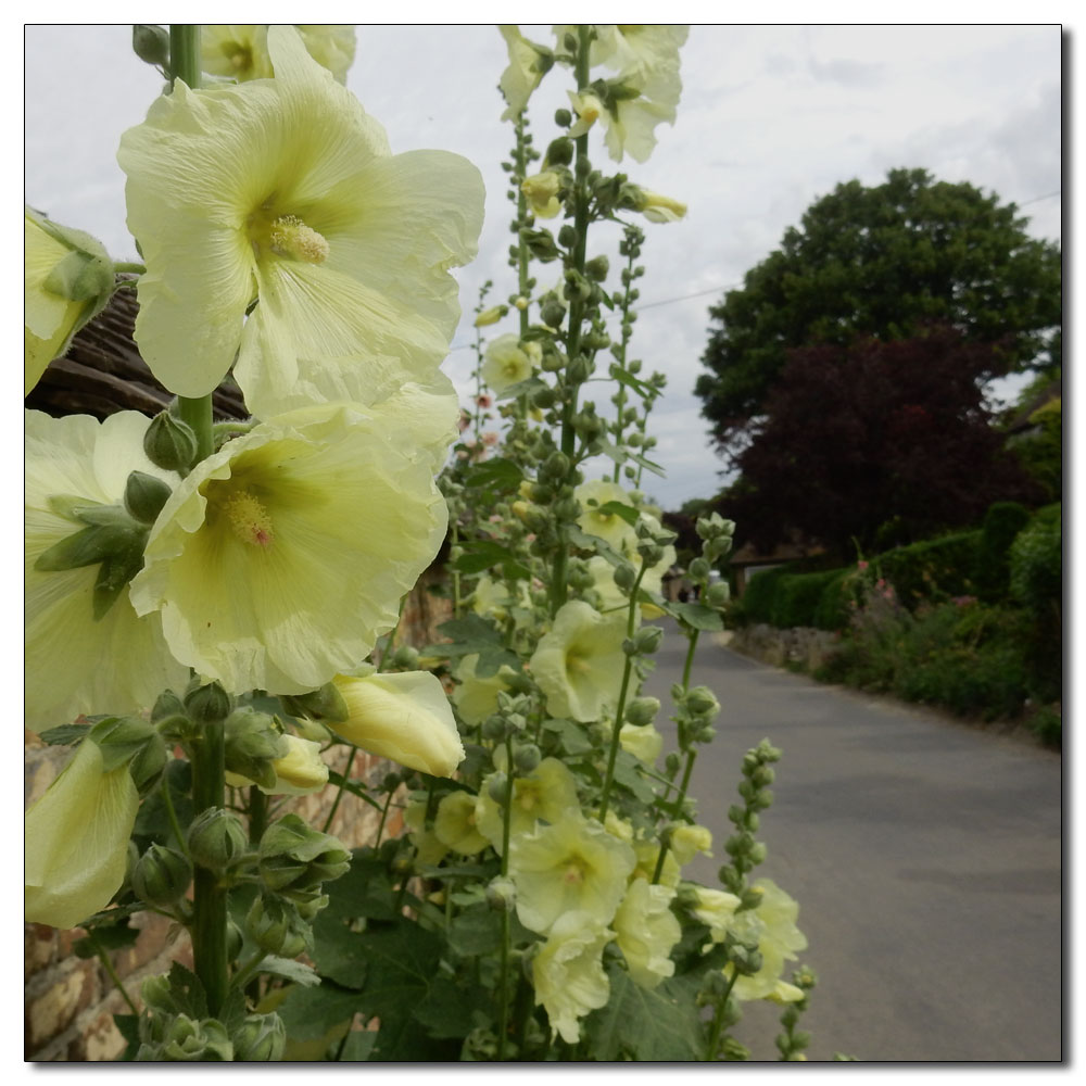 Seaford Head to Alfriston, 