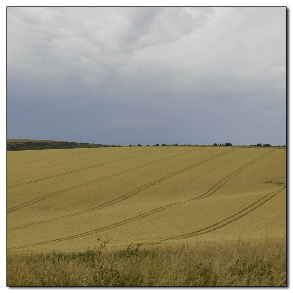 Seaford Head to Alfriston, 