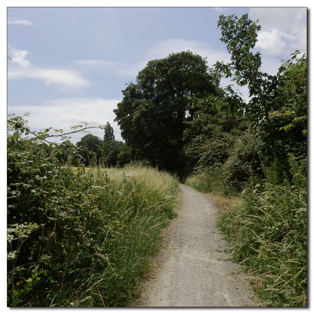 Fishbourne Meadow, 