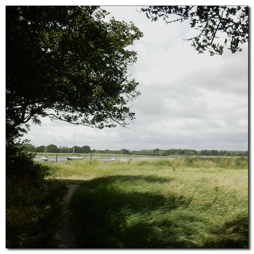 Fishbourne Meadow, 