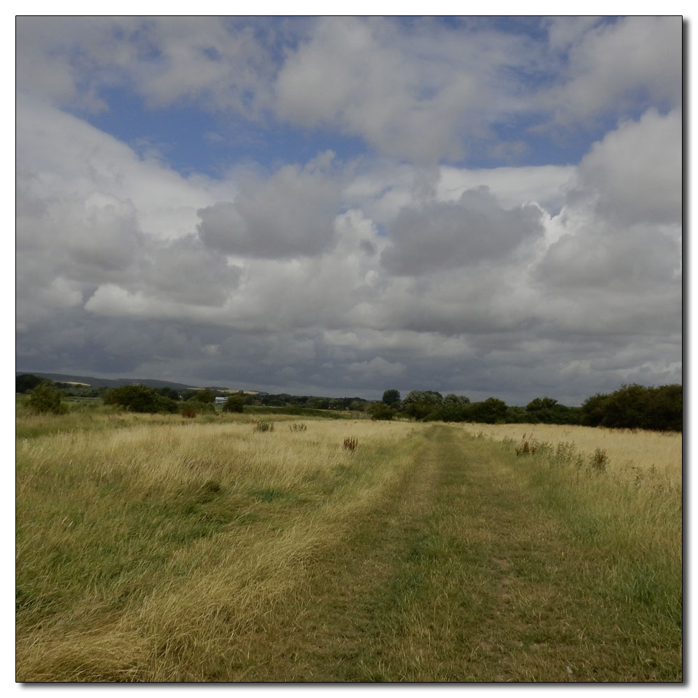 Fishbourne Meadow, 