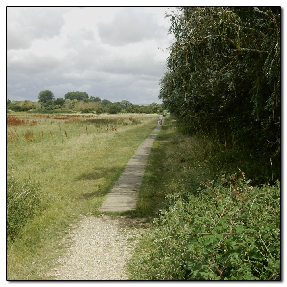 Fishbourne Meadow, 