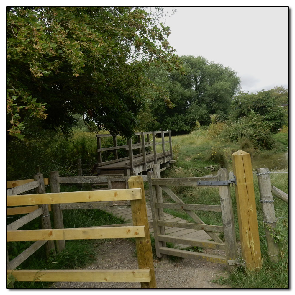 Fishbourne Meadow, 