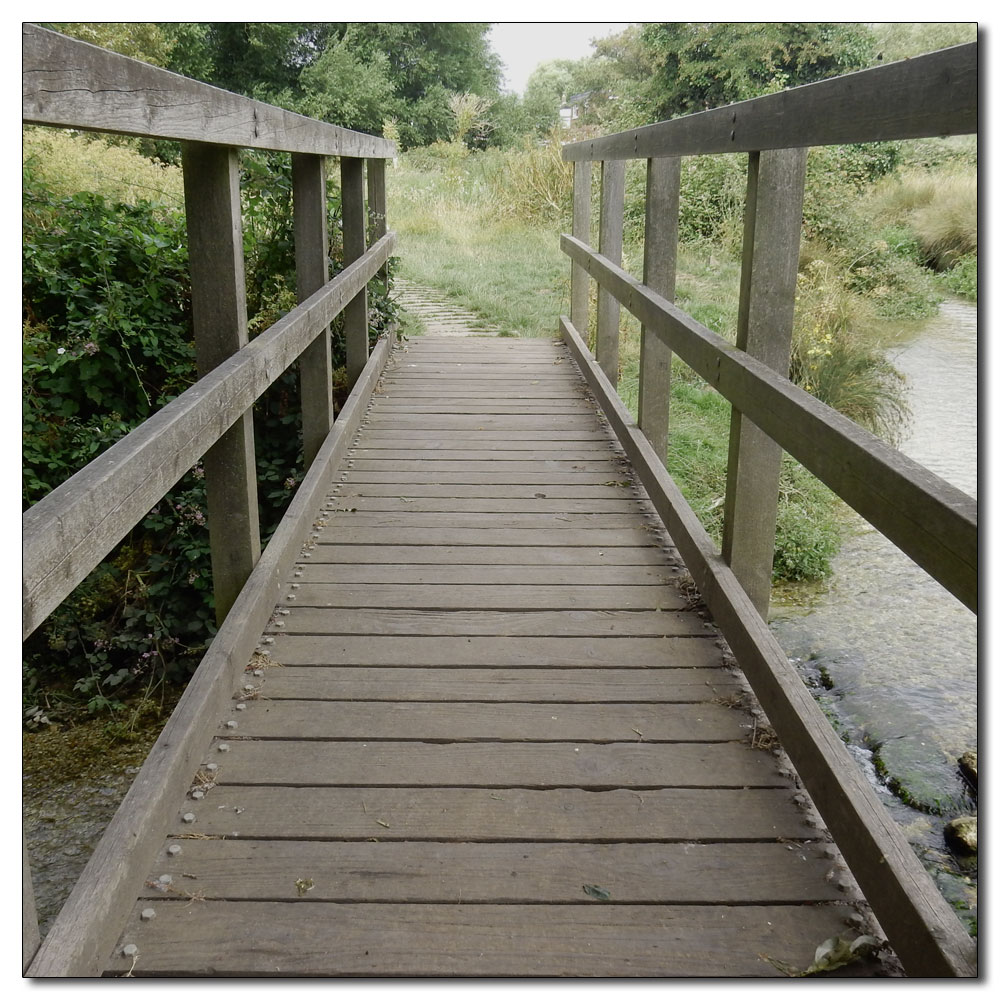 Fishbourne Meadow, 