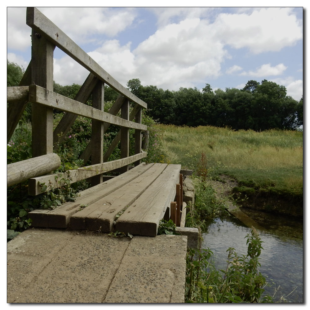 Fishbourne Meadow, 