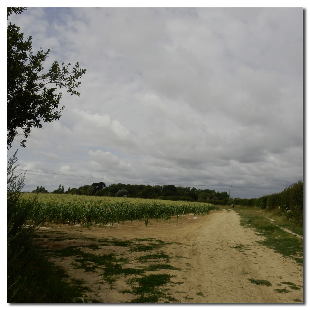 Salterns Corpse Run, 